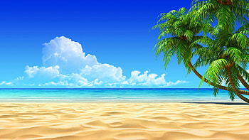 Beach Screensavers HD wallpaper