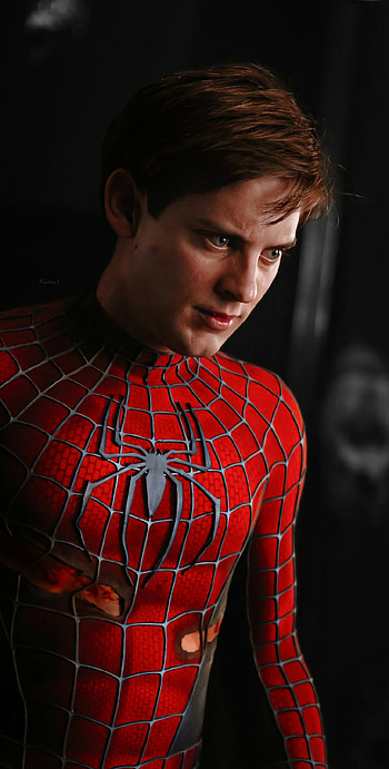 Spiderman, tartan HD phone wallpaper