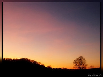 glowing sky, glowing, dark foreground, black tree, sunset HD wallpaper