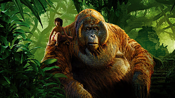 The Jungle Book Movie 2016, the-jungle-book, movies, animated-movies, 2016-movies HD wallpaper