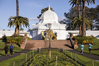 Golden Gate Park, San Francisco Chronicle, San Francisco, Golden gate park HD wallpaper