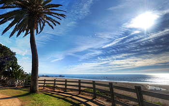 Nature, Clouds, Palms, Shore, Bank, Fence, Fencing, Enclosure, Wind, Lungs, Cirrus HD wallpaper