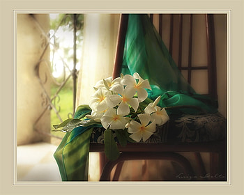 Harmony, chair, white, window, beautiful, iron, silk, tapestry, green, flowers, scarf HD wallpaper