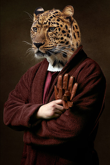 Miscellanea, Miscellaneous, Leopard, Animal, Human, Person, Clothing HD phone wallpaper