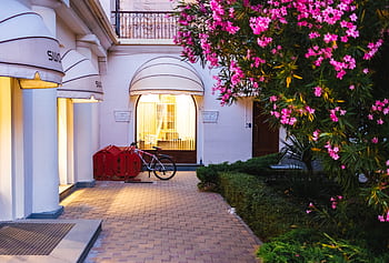 Serene evening view of a boutique hotel entrance in Sochi, adorned with vibrant flowers and warm lighting. HD wallpaper