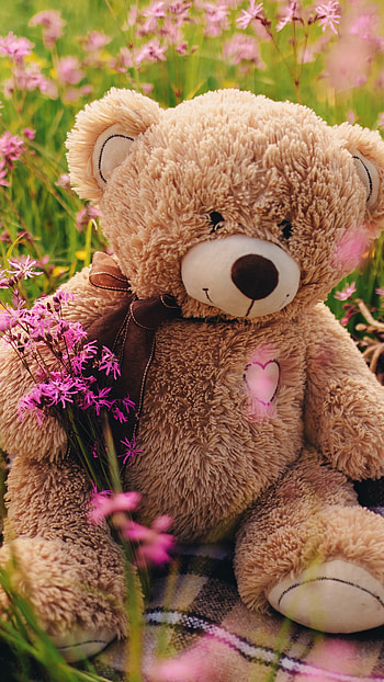Cute Teddy, Flowers Garden HD phone wallpaper