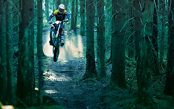 Motorcycles, Forest, Motorcycle, Bounce, Jump, Extreme, Racer HD wallpaper