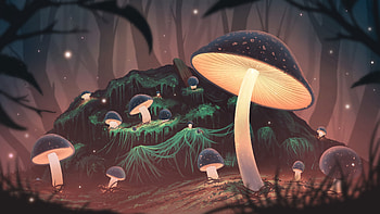 Art, Mashrooms, Shine, Light, Forest, Glow HD wallpaper