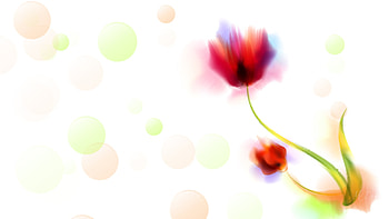 Spring Watercolor, bokeh, flower, watercolor, floral, paint, nature, Firefox Persona theme HD wallpaper