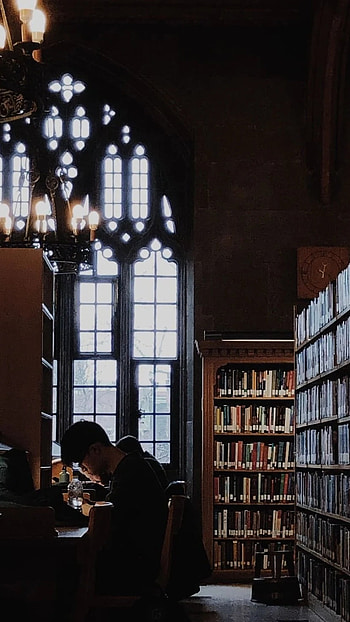 Dark Academia, Winter, Harry Potter HD phone wallpaper