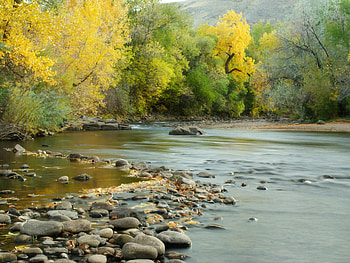 Fall colors, Clear Creek, South Platte River, Colorado landscapes HD wallpaper