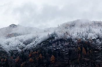 A scenic view of a foggy mountain range with snow-covered trees during winter, illustrating natural beauty. HD wallpaper