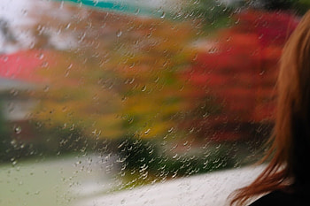 Autumn Through A Window, colorful, through, graphy, colors, peaceful, tranquil, scenery, 3d, abstract, seasonal, trees, autumn, textures, window, fall, rainy, multicolor, pretty, nature HD wallpaper