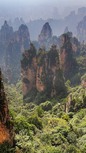 Zhangjiajie Travels, Zhangjiajie national park, , Forest park HD phone wallpaper