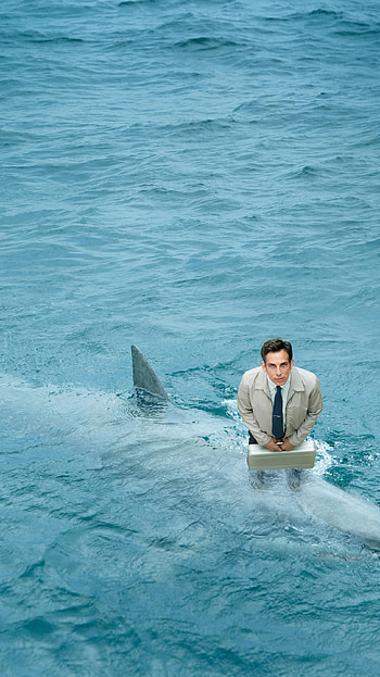 The Secret Life of Walter Mitty (2022) movie HD phone wallpaper