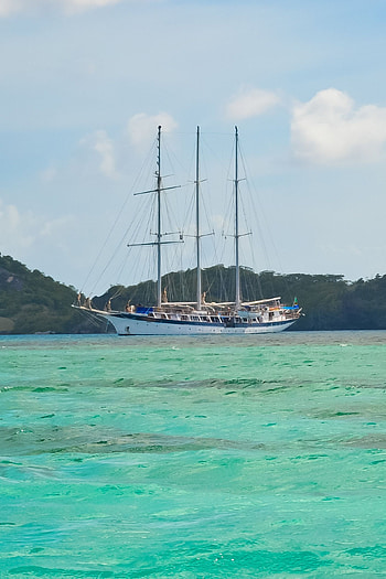 Sail Windjammer giveaway, Relaxing sailing vacations, Fun on the seas, Adventure at sea HD phone wallpaper