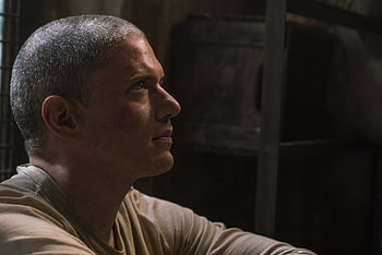 TV Show, Prison Break, Wentworth Miller, Michael Scofield HD wallpaper
