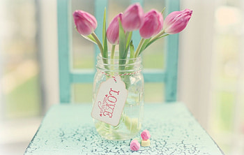 Love Always , chair, pastel, softness, tulip, graphy, vase, beautiful, pink, love, flowers, pink tulip, lovely HD wallpaper