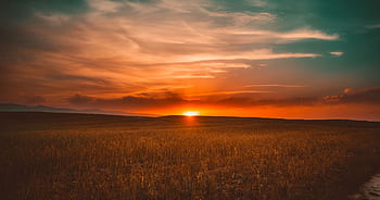 Serene sunset over a vast field with dramatic skies in warm tones. HD wallpaper