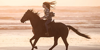 Black Beauty movie, Disney adaptation, Classic story retold, Emotional journey HD wallpaper