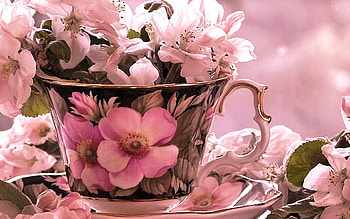 Floral Design, floral, design, cup, nice HD wallpaper