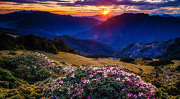 Last sun rays, rays, beautiful, mountain, fiery, wildflowers, last, pretty, valley, lovely, sunset HD wallpaper