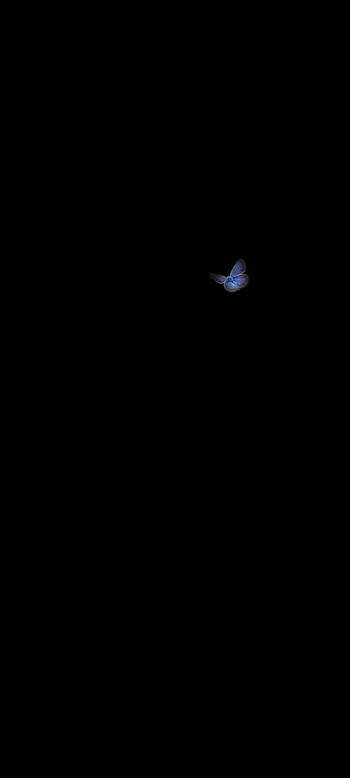 LoveLife, feather, midnight, butterfly HD phone wallpaper