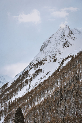 Winter, Nature, Trees, Snow, Mountain, Snow Covered, Snowbound HD phone wallpaper