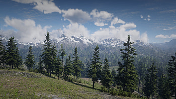 Red Dead Redemption 2 — Alpine Frontier, video game, Red Dead Redemption 2 HD wallpaper