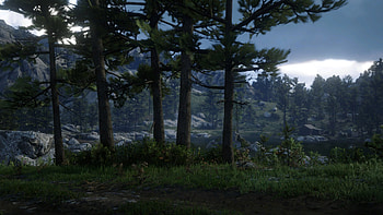 arthur morgan HD wallpaper