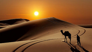 Desert, Beautiful background, Serene landscape, Nature's masterpiece HD wallpaper