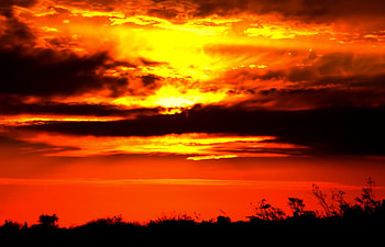 Wow...Wow...Superb, glow, clouds, sky, amazing, forest, ray, beauty HD wallpaper