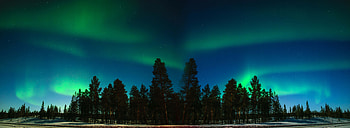 Trees, Dark, Forest, Starry Sky, Northern Lights, Aurora Borealis, Aurora HD wallpaper