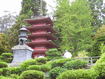 Building, , Japanese, Temple, Tree HD wallpaper
