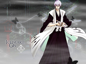 ichimaru gin, dounut305, nabyboy HD wallpaper