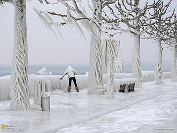 ~Naturally formed sculptures ~, winter, snow, cold, sculpture, nature, canada, switzerland, lake HD wallpaper