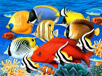 By Howard Robinson, animal, painting, art, underwater, howard robinson, fish HD wallpaper