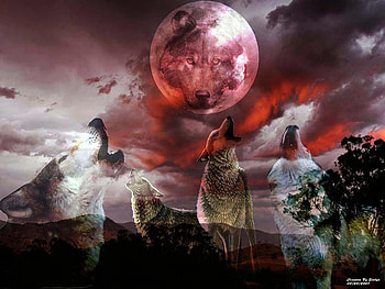Wolfmoon, spirit, abstract, wolves, 3d, moon, fantasy HD wallpaper