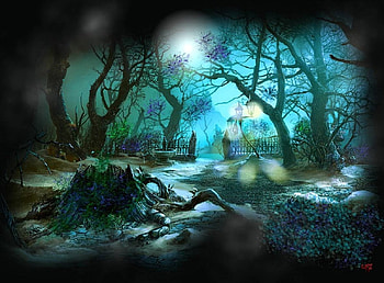 Espectral, noche, pasion, fantasia, vista HD wallpaper