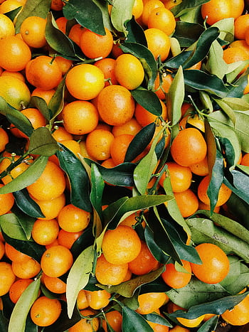 A vibrant pile of fresh tangerines with green leaves, showcasing natural freshness and vivid colors. HD phone wallpaper
