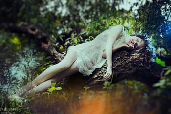 day dreaming, trees, women, models, sleeping, artistic HD wallpaper