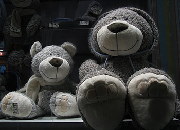 Toys, Bears, Miscellanea, Miscellaneous, Multitude, Lots Of, Shop, Shelf, Score HD wallpaper