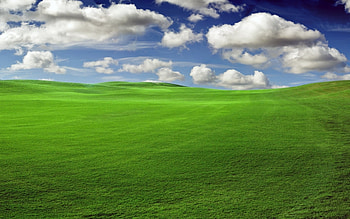 Landscape, Fields, Sky HD wallpaper