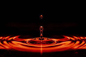 Macro, Close-Up, Liquid, Drop HD wallpaper