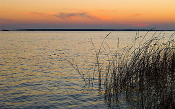 Nature, Rivers, Grass, Sky, Wind HD wallpaper