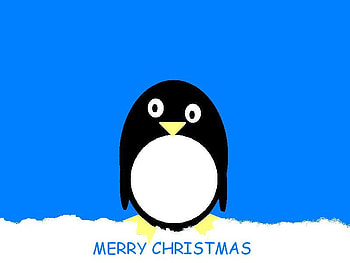 Christmas Penguin, blue, penguin, snow, christmas HD wallpaper