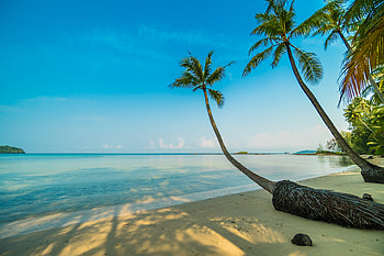 Tropical Horizon Bliss - Nature Escape, horizon, nature, tropical HD wallpaper