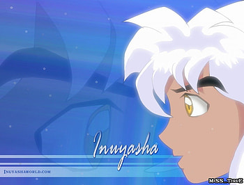 looking, inuyasha head, white hair HD wallpaper