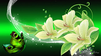 Green Desire, glimmer, spangle, glow, glitter, luster, flash, butterfly, glisten, shimmer, sparkle, shine, scintillate, fleurs, glister, flare, winkle, radiate, lustre, papillon, shiny, glint, gleam, wink, green, lights, flowers, lilies, twinkle HD wallpaper