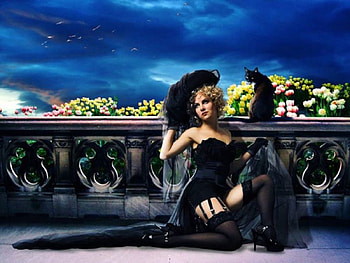 Lady in Black, night, lady, black, cat, flowers, stocking, balcony HD wallpaper